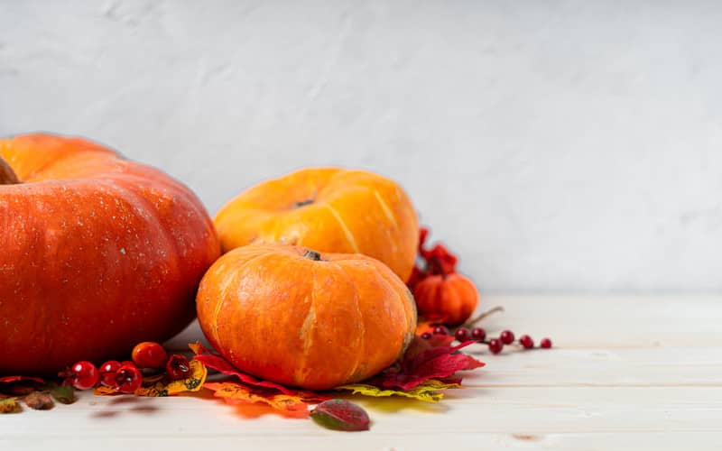 propiedades de la calabaza