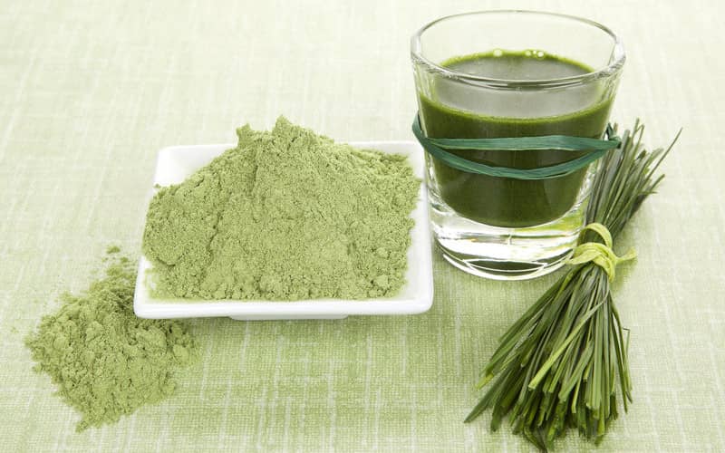 que es la espirulina