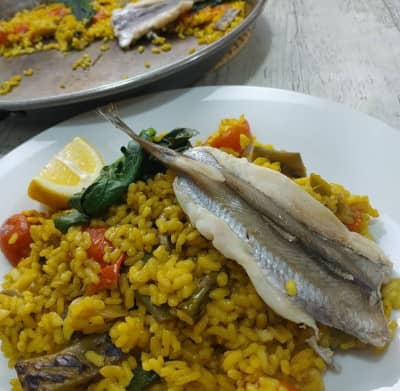 photo1695401796 Aumento de la Ingesta de Proteínas en Adultos de 40 Años o Deportistas