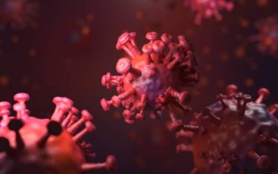 Alimentos Para Fortalecer El Sistema Inmunológico